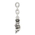 thumbnail image 3 of Stainless Steel Antiqued CZ Royal Frog Interchangeable Charm Pendant, 3 of 5