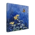 thumbnail image 2 of Trademark Fine Art 'Monarch Butterfly' Canvas Art by Rusty Frentner, 2 of 3