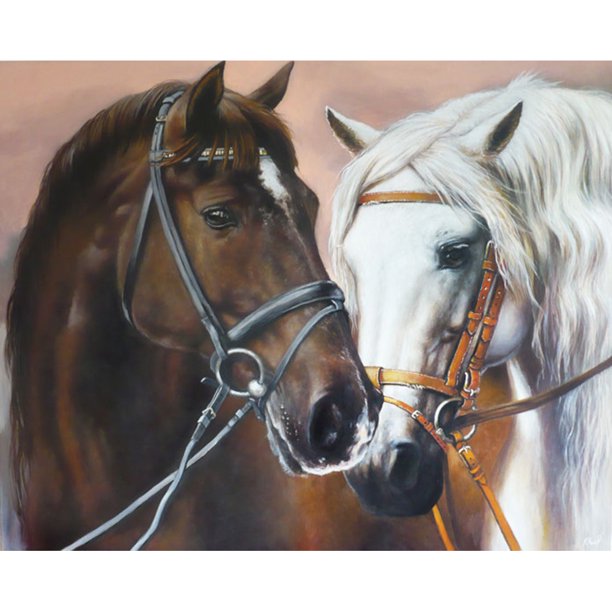 Cuadros Decorativos (DF3784) Kit de mosaico de punto de cruz de caballo de pintura de diamante de taladro completo 5D DIY (w1452) 20X30cm Wdftyju embutido en tela