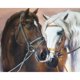 thumbnail image 1 of Cuadros Decorativos (DF3784) Kit de mosaico de punto de cruz de caballo de pintura de diamante de taladro completo 5D DIY (w1452) 20X30cm Wdftyju embutido en tela, 1 of 1