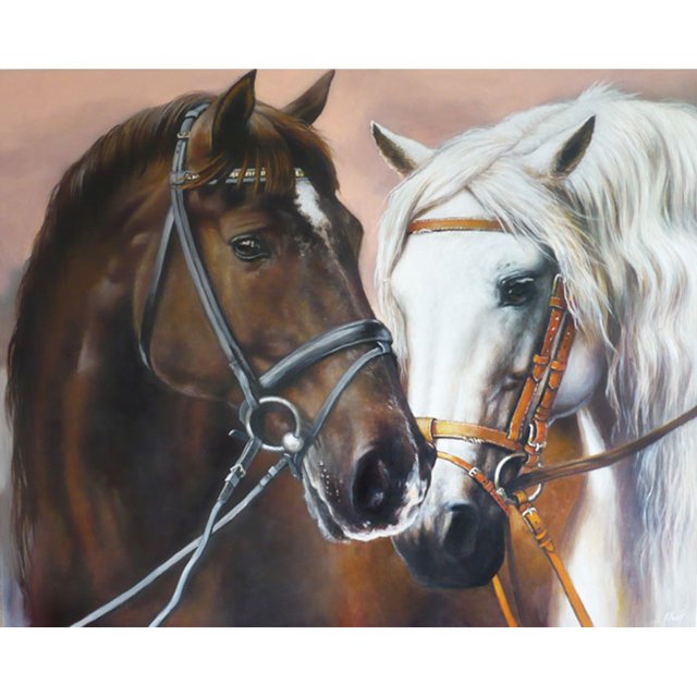 Taladro Pintura Diamante (DF3784) 5D DIY Caballo Completo Punto de Cruz Kit de Mosaico (w1452) 45x60cm Hugtrwg Para estrenar
