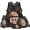 American Flag Wolf, variant on HUIACONG Desert Camo Backpack for Boys Girls, Camouflage Print School Bag 4PCS Pack with Lunch Box, Pencil Case and Water Bottle Sleeve for Elementary Kids