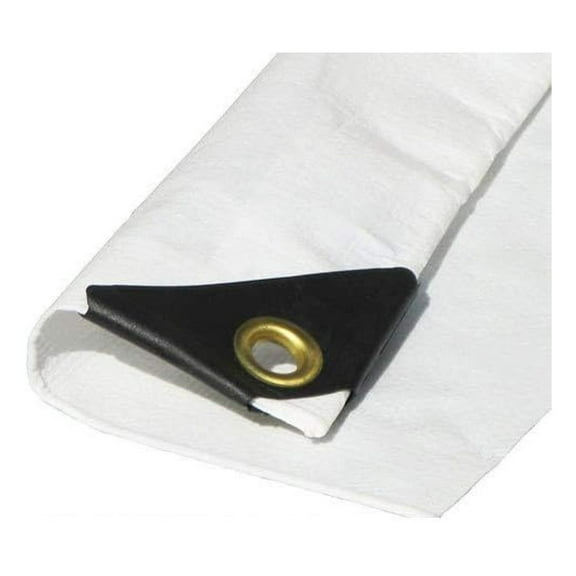14'X24' 12 mil White Tarp Extra Heavy Duty 3 Ply Reinforced Canopy 6 oz (Approximate 13'.6 x 23'.6)