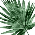 thumbnail image 2 of Miller, Melonie 15x15 Gold Ornate Wood Framed with Double Matting Museum Art Print Titled - Tropical Green Palm IV, 2 of 4