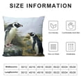 thumbnail image 5 of Orinice Penguins Rocks Grass Graphic Decorative Cushion Throw Pillow Cover for Home Sofa 1PC 18x18in, 5 of 5