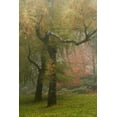 thumbnail image 2 of Vitaly Geyman 11x14 White Modern Wood Framed Wall Art Titled - Colors in the Mist VI, 2 of 5