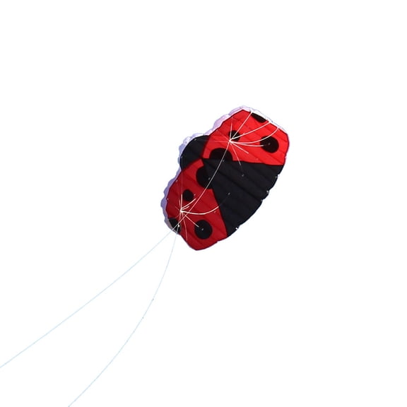 CHEEPUM Huge Outdoor Fun Sports Two-Line Software L-adybug K-ite Animal Kites Flying Wing Foil Board