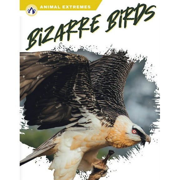 Bizarre Birds, (Hardcover)