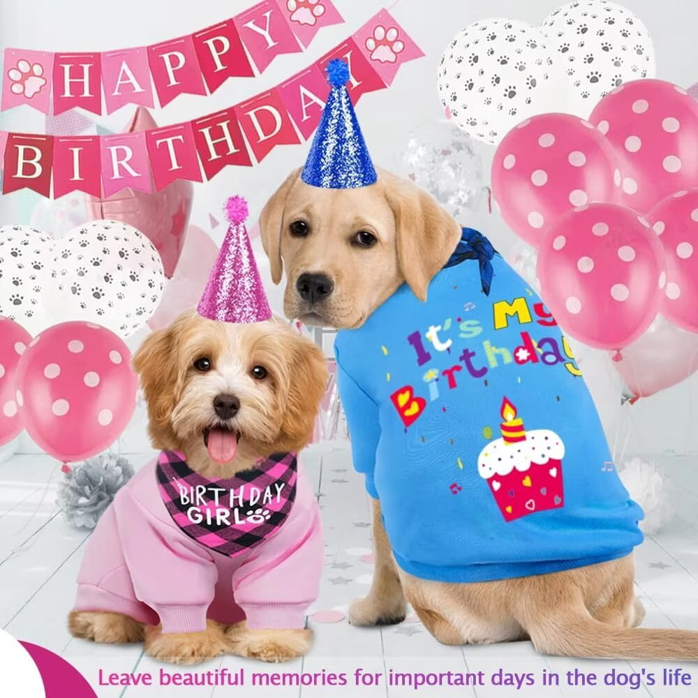 Dog Birthday Gift Set Supplies - Birthday Bandana, Sweater & Party Hat for Small, Medium & Extra Large Dogs Girl and Boy