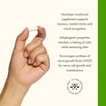 thumbnail image 5 of Swanson Lion's Mane Mushroom - 60 Capsules, 500mg Each, 5 of 8