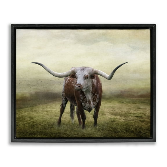 Stupell Industries Pride Of The Longhorn Animals & Insects Photography Black Floater Framed Canvas Art Print Wall Art, 21 x 17