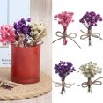 thumbnail image 2 of Yuarrent Mini ramo de flores secas, artesanía DIY, decoración de boda, exquisito regalo dulce de larga duración, calcomanía para graduación, Artesanía N01 Yuarrent HA084418-01, 2 of 6