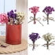 thumbnail image 4 of Toystoory Mini ramo de flores secas 10X, artesanía DIY, decoración de boda, mano de obra fina exquisita, decoración de tarjeta de regalo dulce atractiva Artesanía N17 Toystoory HA084418-04, 4 of 6