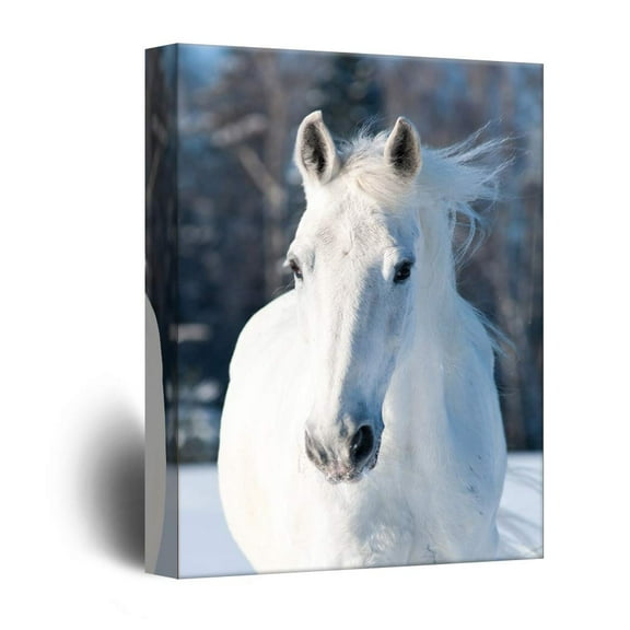 wall26 - Canvas Wall Art - White Horse Portrait - Giclee Print Gallery Wrap Modern Home Art Ready to Hang - 16x24 inches