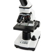 Celestron Labs CM800 Compound Microscope