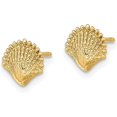 thumbnail image 2 of 14K Yellow Gold Scallop Shell Post Earrings - 7.8mm, 2 of 6