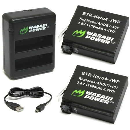 Wasabi Power Dual USB Charger and 2 Li-ion Batteries