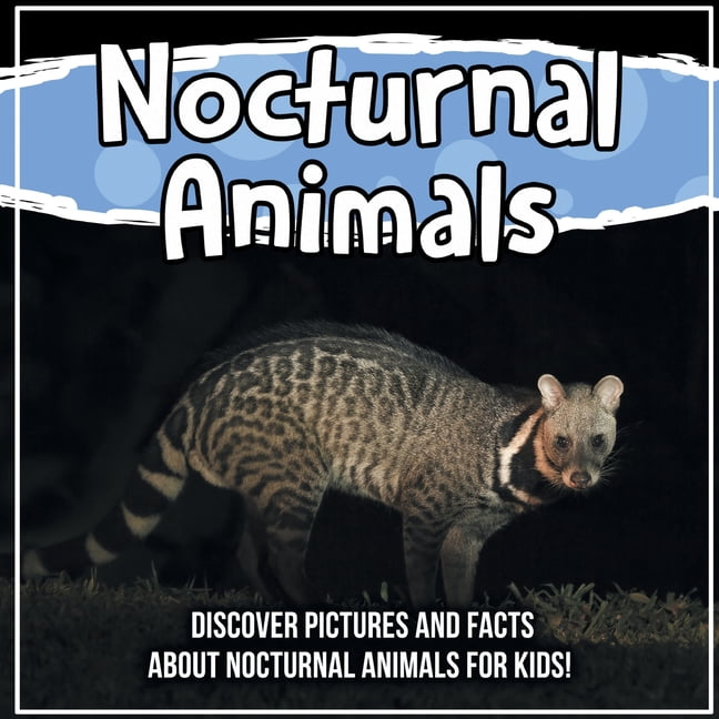 Nocturnal Animals : Discover Pictures and Facts About Nocturnal Animals For  Kids! (Paperback) 