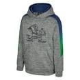 thumbnail image 2 of Youth Colosseum Gray Notre Dame Fighting Irish The Gang Hoodie, 2 of 3