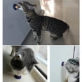 thumbnail image 2 of 50 * para Gatos Bocadillos para Gatos Energéticos Nutricionales Depilación Comida para Gatos Menta Rusa para Lamer para Gatos, 2 of 3