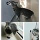 thumbnail image 3 of Bocadillos saludables para gatos Catnip Sugar Candy Lamiendo Bola de energía de nutrición sólida, 3 of 4