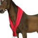 thumbnail image 5 of Bufanda navideña con forma de caballo, accesorios para caballos, fácil de usar, reutilizable, cómoda, ligera y portátil. Accesorio decorativo navideño, 5 of 8