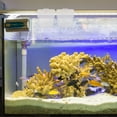 thumbnail image 1 of BESTYASH 5Ud White Plant Aquarium Rack Hanging Hydroponic Basket Space Saving for Fish Tank Decoration, 1 of 8