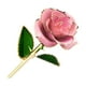 thumbnail image 1 of Bearachild Plástico Elegante y resistente Rosas chapadas en oro de 24 quilates para una mayor longevidad El chapado en oro de 24 quilates nunca Decoración rosa, 1 of 6