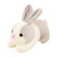 thumbnail image 1 of LLavero de conejo de peluche Kawaii de 15cm y 20cm para niños, colgante de conejo suave, juguetes de mantequilla para niñas, regalo de cumpleaños y Año Nuevo zhangyuxiang LED, 1 of 2