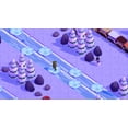 thumbnail image 6 of Winter Games Collection + Advent Calendar Code In Box, Nintendo Switch, 6 of 7