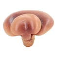 thumbnail image 4 of Simulated fungus mushroom model ornaments, 4 pieces, 4 of 4