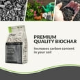 thumbnail image 4 of Plantonix Char Bliss Premium Wood Biochar Soil Amendment 8 Quarts, 4 of 5