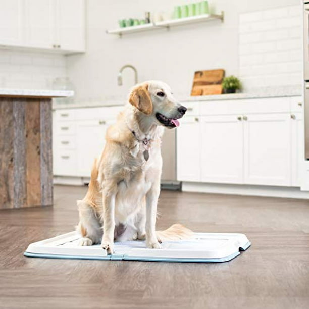 Iris puppy pad best sale holder