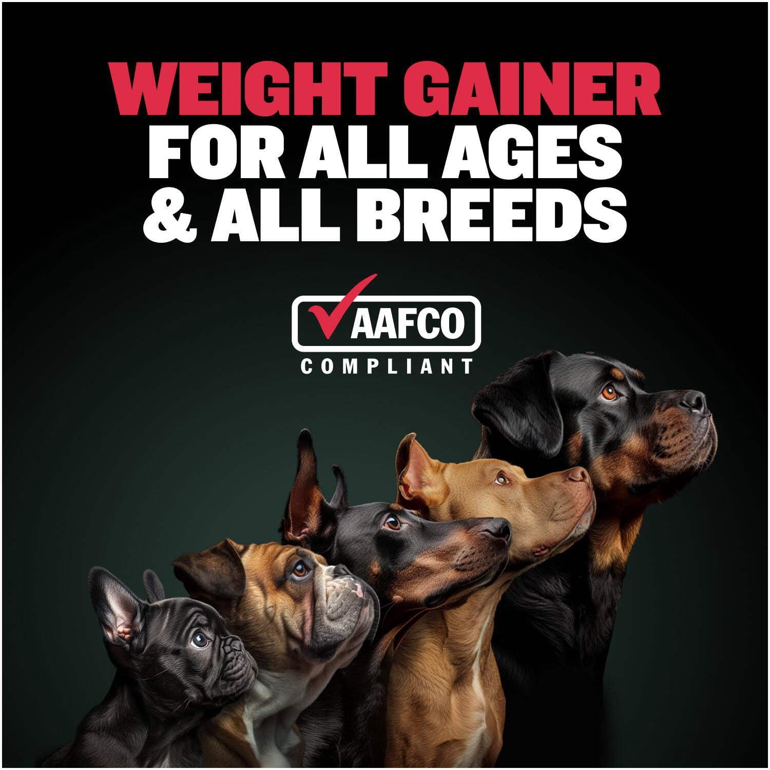Bully Max Weight Gain Soft Chews for Dogs, Chicken and Bacon Flavor, 10.6 oz. Bag