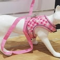 thumbnail image 3 of Cat Harness ,Leash And Collar Set ,Escape Proof - Fashionable Mesh Cat Dog Walking Harness Leads, Adjustable for Kitties Puppies Small Animals, 3 of 6