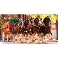 thumbnail image 1 of Clydesdales Plaque d'Immatriculation Photo de Chariot, 1 of 1