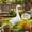 #B, variant on Porch Goose Statue Large Concrete Outfits Lawn Ornaments Dress up Plastic Resin Grey for Front Heavy Yard Art Decoration with Sand-Fillable Design for Indoor Outdoor Stability