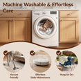 thumbnail image 5 of Design&I 2'x3' Ultra Soft Door Mat, Pink Blush Beige Ivory Cream Gradient Intricate Border Sage Shack None Fluffy Washable Easy Care Indoor rug for Bedside Entryway, 5 of 7