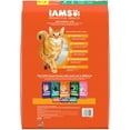 thumbnail image 3 of Iams Proactive Health Chicken And Salmon Dry Cat Food, 16 Lb Bag, 3 of 9