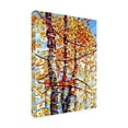 thumbnail image 4 of Mandy Budan 'Panoply' Canvas Art, 4 of 5