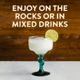 thumbnail image 4 of Mr. Boston Triple Sec Orange Liqueur, 750ml, 15% Alcohol, Margarita Mix Cocktail Mixers, 4 of 9