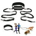 thumbnail image 1 of Correa para Perros Manos Libres Retráctil Bungee con Doble Mango Acolchado Correa de Cintura para Paseos de Perros Correa para Correr con Bolsa para Perro Negro Gris Plateado, 1 of 7