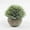 H, variant on 1 Pack 12inch Mini Artificial Potted Fake Plants for Home Decor, Indoor Small Faux Topiaries for Room, Office Desk, Bathroom Greenery Decoration, Perfect for Home Decorative Gift