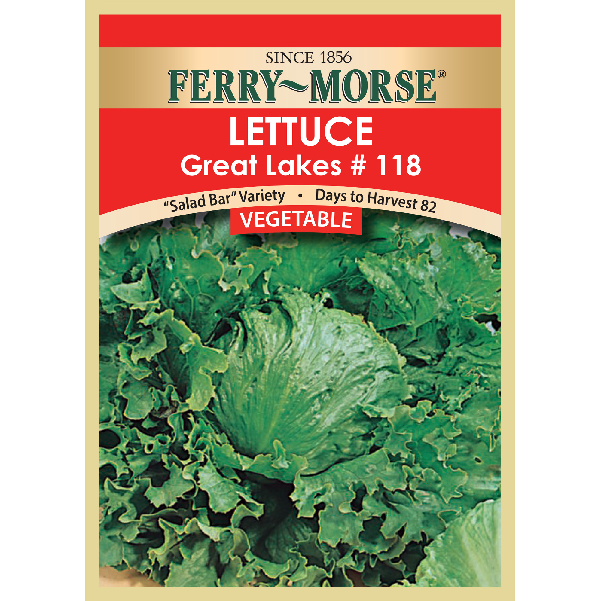 FerryMorse Lettuce Great Lakes 118