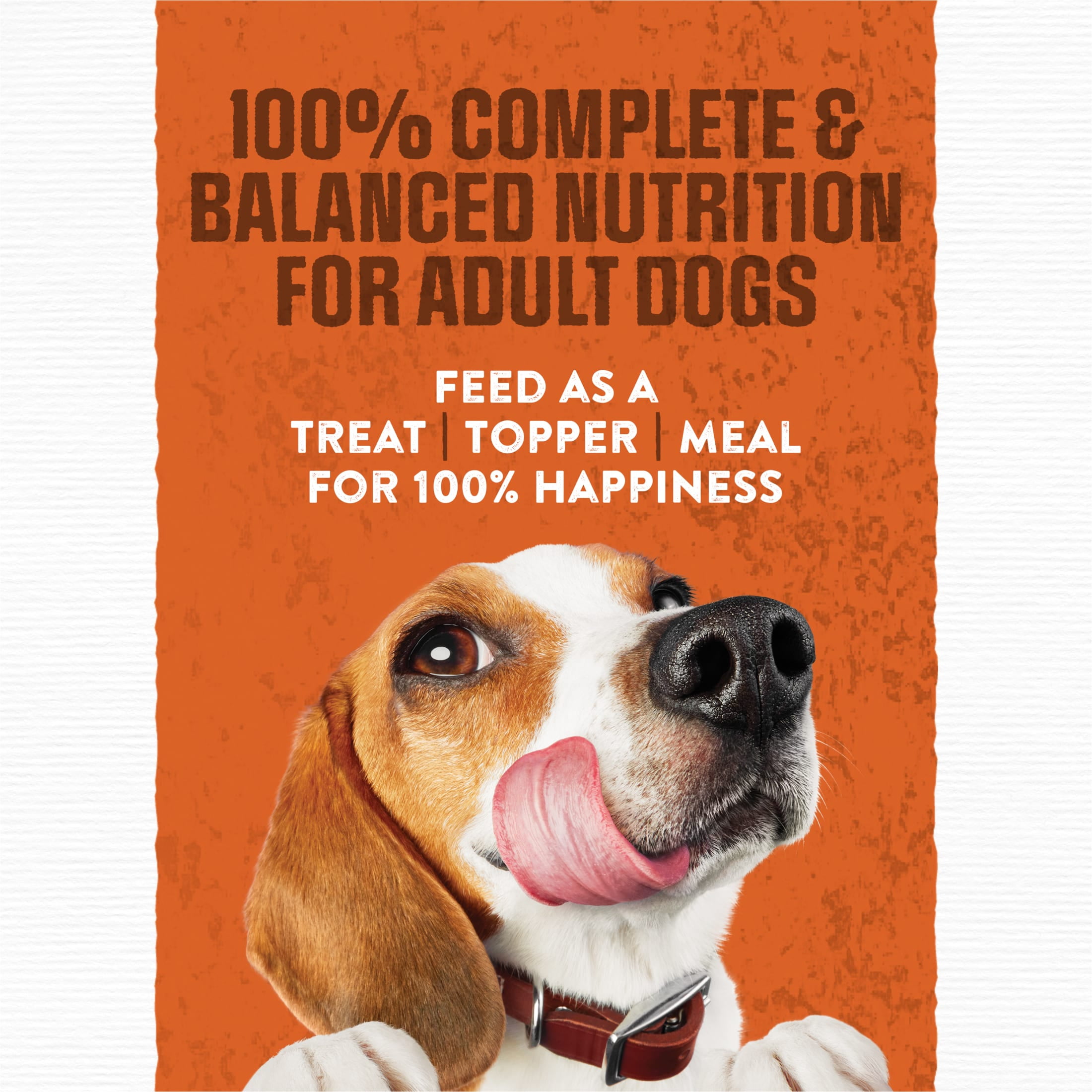 Purina Moist and Meaty Burger With Cheddar Cheese Flavor Dry Soft Dog Food Pouches, 216 oz.