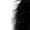 Slate Grey, variant on Zip Up Star Print Hoodies for Women Cropped Sweatshirts Fall Fashion Outfits Y2k Fleece Couples Clothes Black M