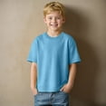 thumbnail image 2 of Caqnni Boys Girls Crew Neck Short Sleeve Tee Solid Color Easy Matching Cotton Casual Versatile Fashion T Shirt SIZE 2-12 Years (Light Blue,2-3 Years), 2 of 8