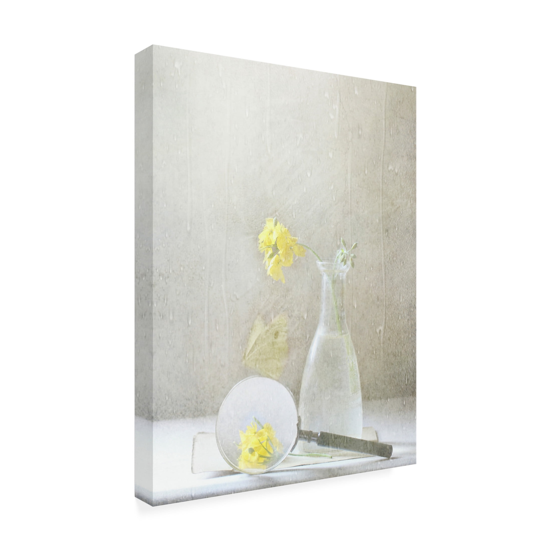 Canvas Wall Art - Delphine Devos 'Qnatureq Is What We See' Wall Art for Living Room, Bedroom, or Office Décor by Trademark Fine Art - 18 x 24 Inches