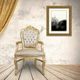 thumbnail image 3 of Dag, Inc. 12x14 Gold Ornate Wood Framed with Double Matting Museum Art Print Titled - Photography/Landscape 181, 3 of 4