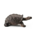 thumbnail image 1 of OUTOP Réaliste Tortue Action Figure Réaliste Amphibien Reptile Modèle Ornements pour les Enfants Cadeaux Décoration de la Maison, 1 of 9